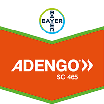 Adengo SC 465