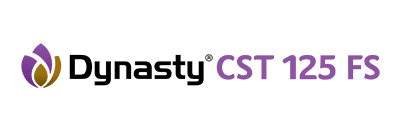 Dynasty CST125